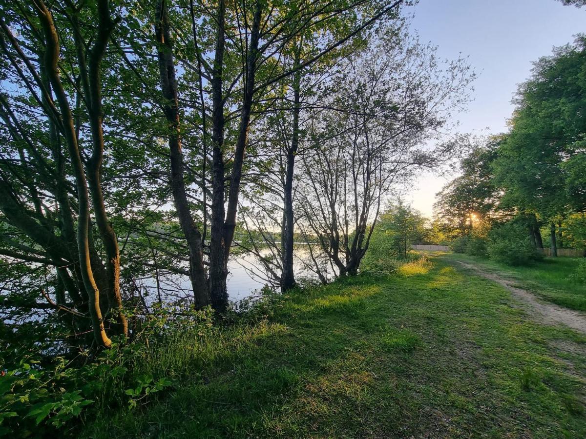 La Tiny Proche Lac Et Foret Sillé-le-Guillaume Exterior foto